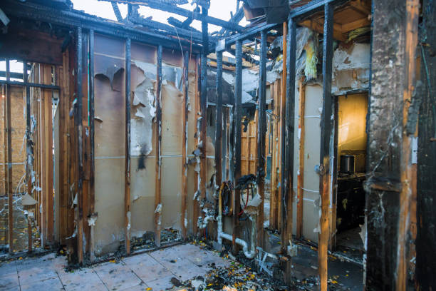 Professional Odor Removal technician working in Gambrills, MD