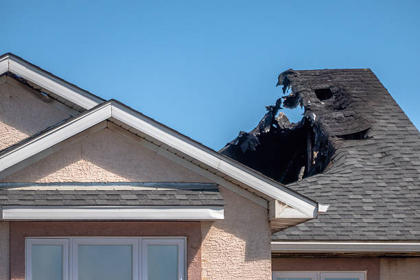 Top rated local Odor Removal specialists in Gambrills, MD